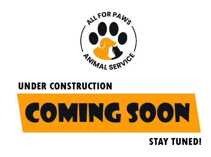 Under Construction