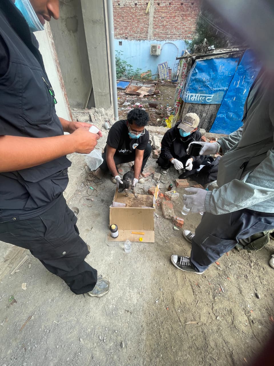 All For Paws Nepal